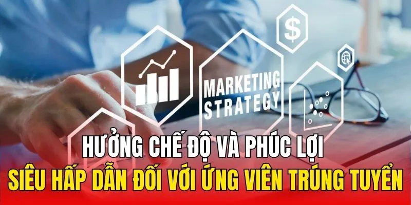 Hưởng chế độ và phúc lợi siêu hấp dẫn đối với ứng viên trúng tuyển